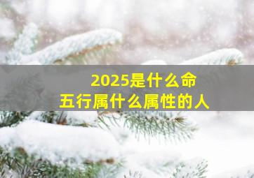 2025是什么命 五行属什么属性的人